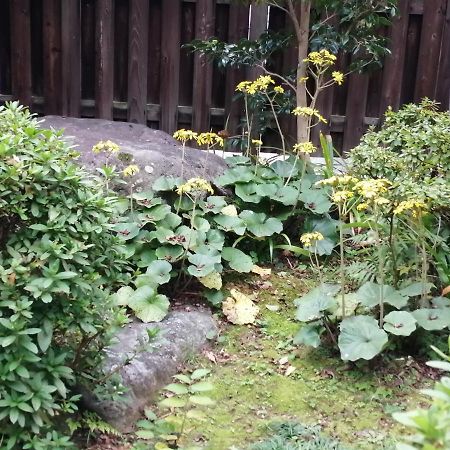 ゲストハウス山本 Gifu Buitenkant foto