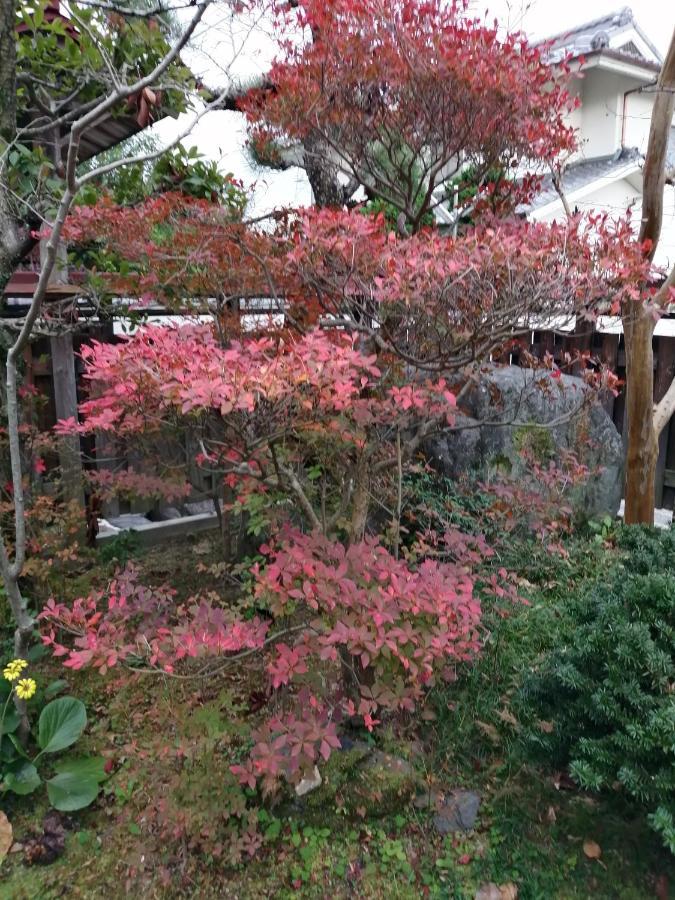 ゲストハウス山本 Gifu Buitenkant foto