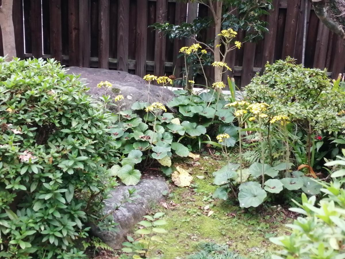 ゲストハウス山本 Gifu Buitenkant foto