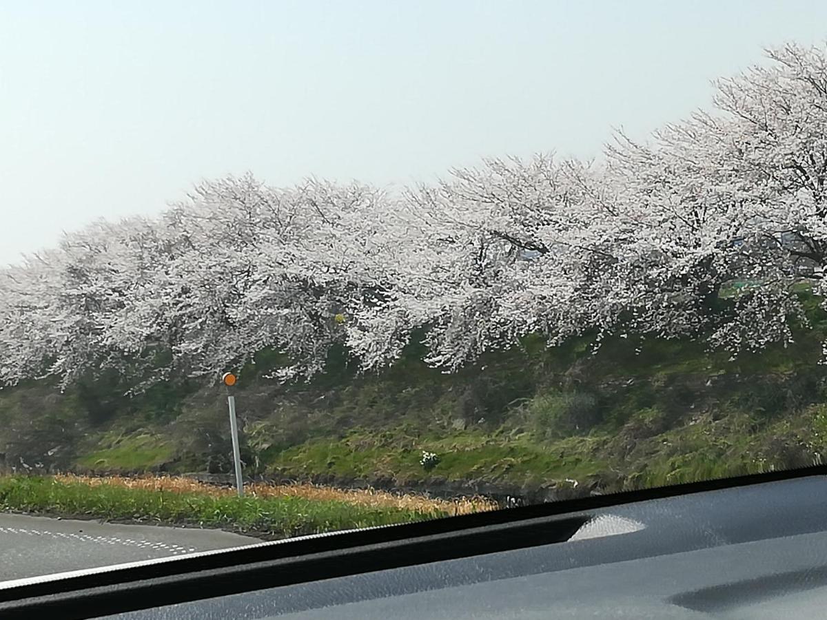 ゲストハウス山本 Gifu Buitenkant foto